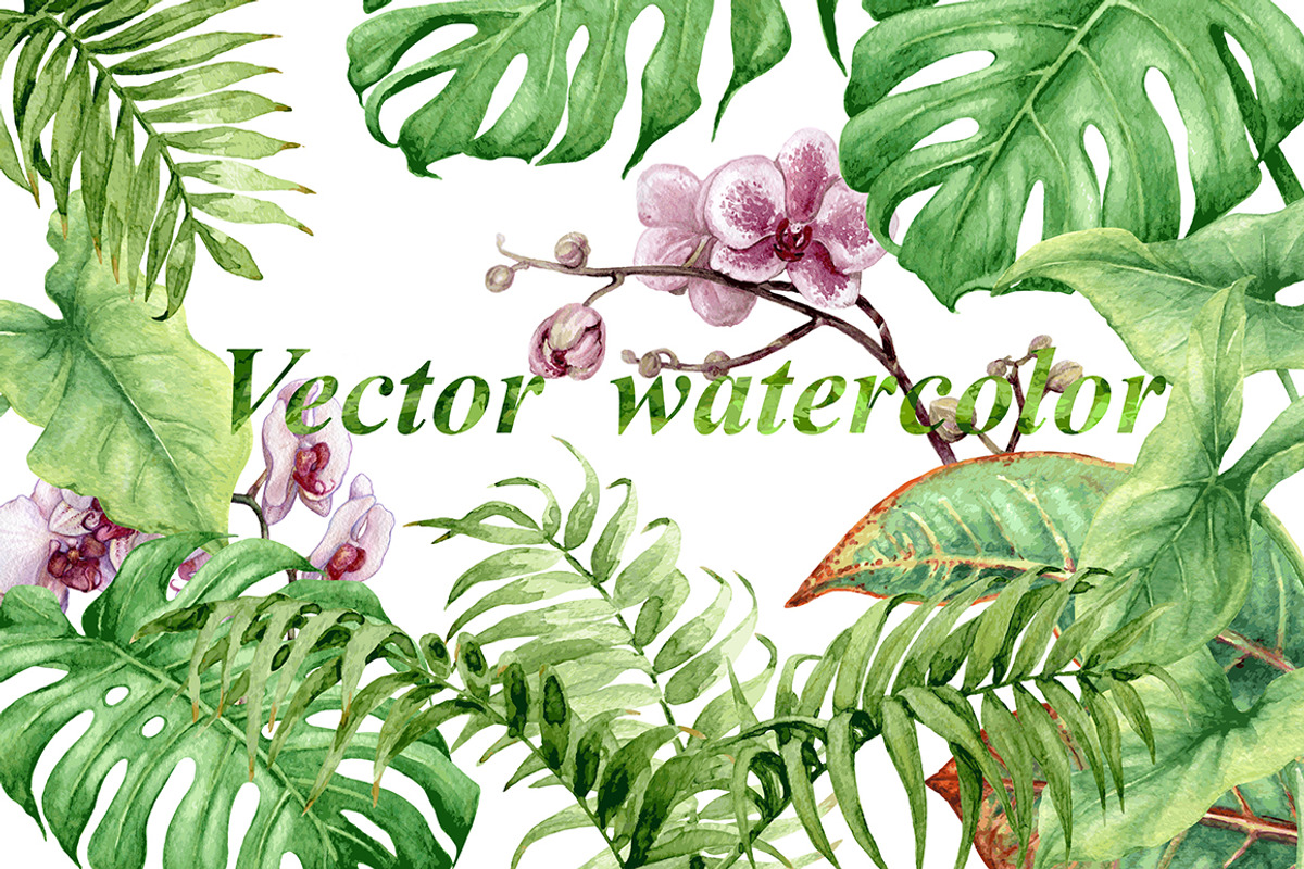 Watercolor Tropical Plants, a Decorative Illustration by Valentyna Smordova (Photo 5 of 6)