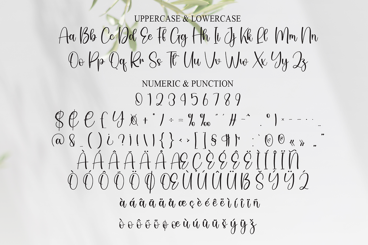 Butter Signatures | Script Font, a Handwritten Font by Scratchones (Photo 7 of 8)