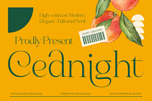 Cednight High-Contrast Modern Serif