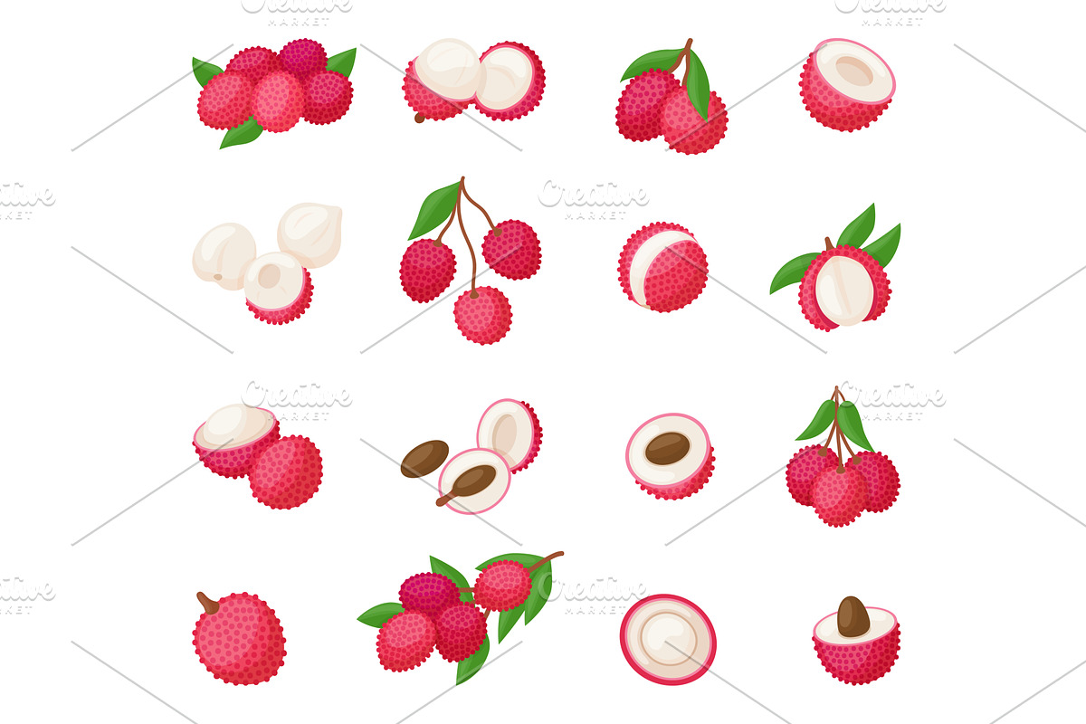 Cartoon lychee. Isolated fruits, a Food Illustration by Valerie Bodnar