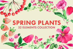 Spring Plants