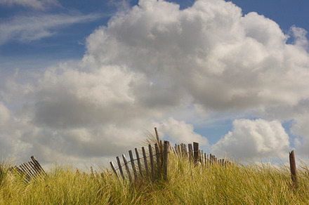Old Fence near Beach