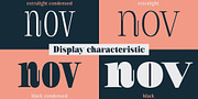 Royalis, a Serif Font by Julien Fincker (Thumbnail 8 of 15)