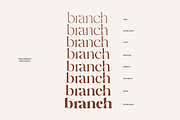Hello Branch 8 Font Family, a Serif Font by Sans & Sons (Thumbnail 6 of 12)