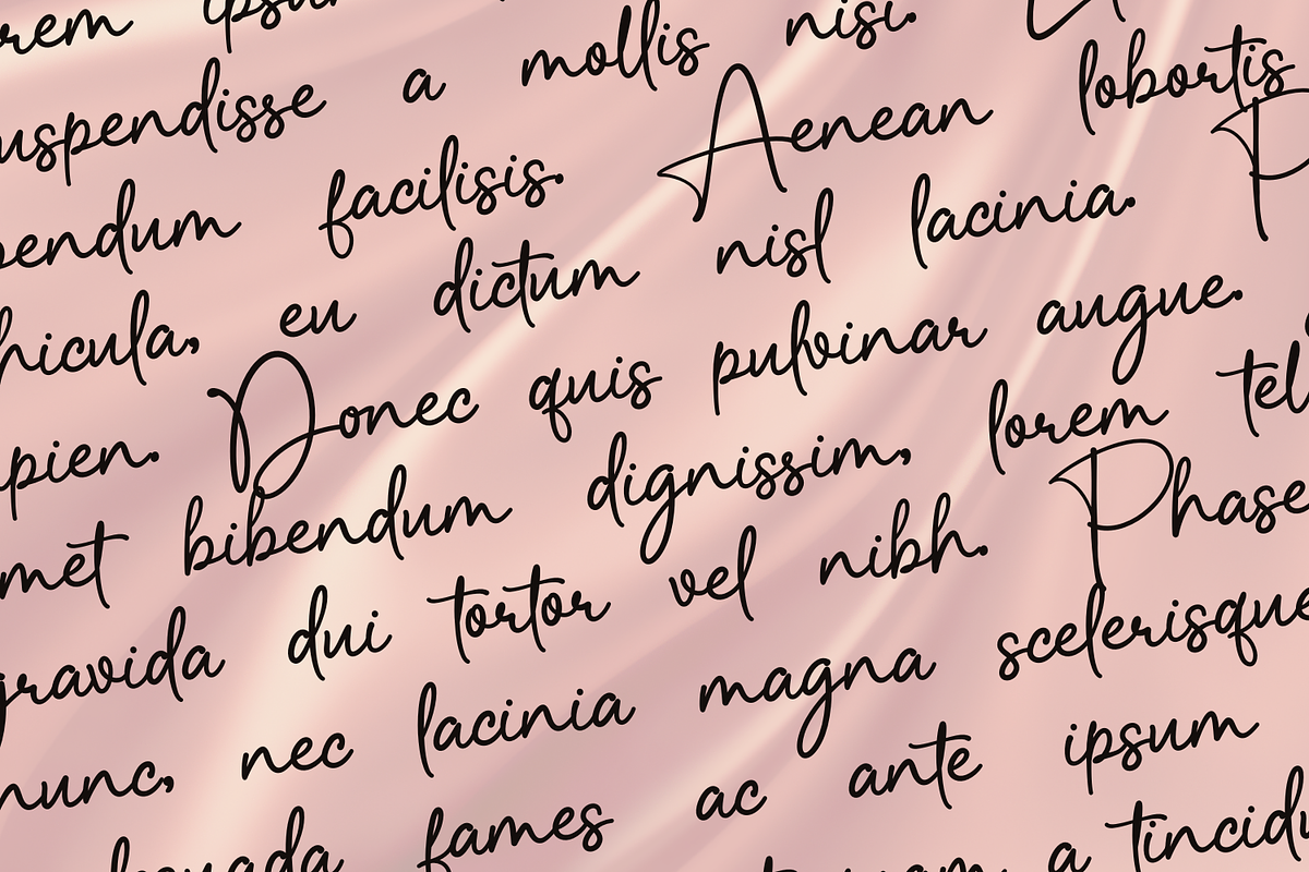Dillematica Signature Font, a Handwritten Font by Basnistudio (Photo 6 of 10)