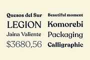 Recoleta - Family 30% off, a Serif Font by Latinotype (Thumbnail 16 of 16)
