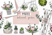 Protea - botanical garden collection, an Illustration by lokko studio (Thumbnail 1 of 7)