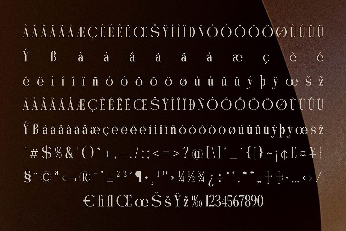 Mystequ New Modern Display, a Serif Font by Storytype Studio (Photo 14 of 15)