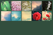Nature bundle, a Nature Photo by EkaterinaPlanina (Thumbnail 3 of 3)