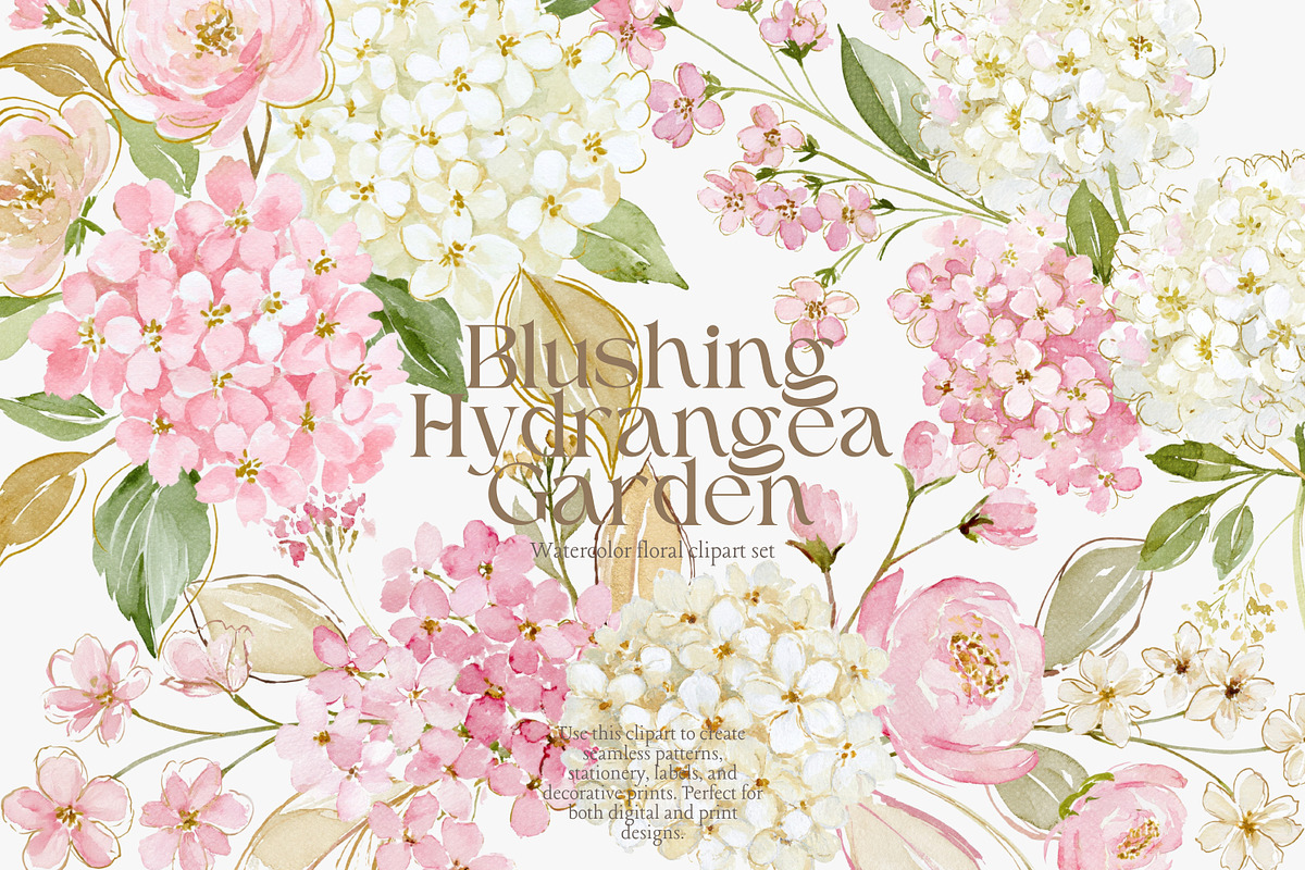 blush hydrangea clipart collection, a Decorative Illustration by Patishop Art (Photo 1 of 9)