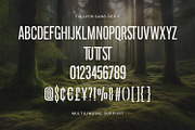 Fallyen Font Duo Signature Sans, a Script Font by Maulana Creative (Thumbnail 7 of 7)