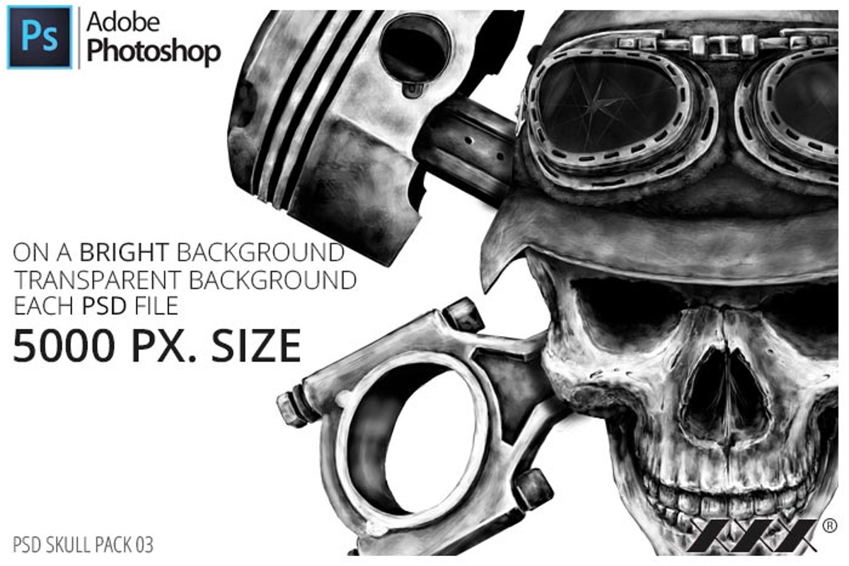 Motorcycle Club Skull Collections, an Illustration by XXX (Photo 1 of 2)