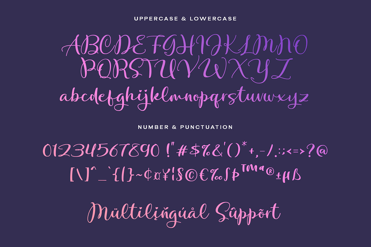 Botigood Script Fonts, a Script Font by Siwox Studios (Photo 6 of 8)