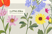 Summer Meadow Wildflower, a Decorative Illustration by Manimanisa (Thumbnail 3 of 12)