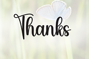 Butterfly | Script Font, a Handwritten Font by Scratchones (Thumbnail 8 of 8)