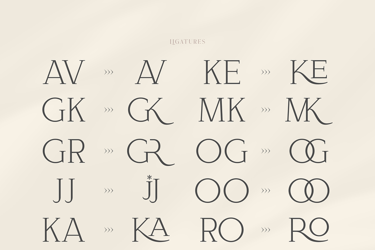 Bloomy Korea - Modern Serif Font, a Serif Font by Artchitype Studio (Photo 11 of 12)