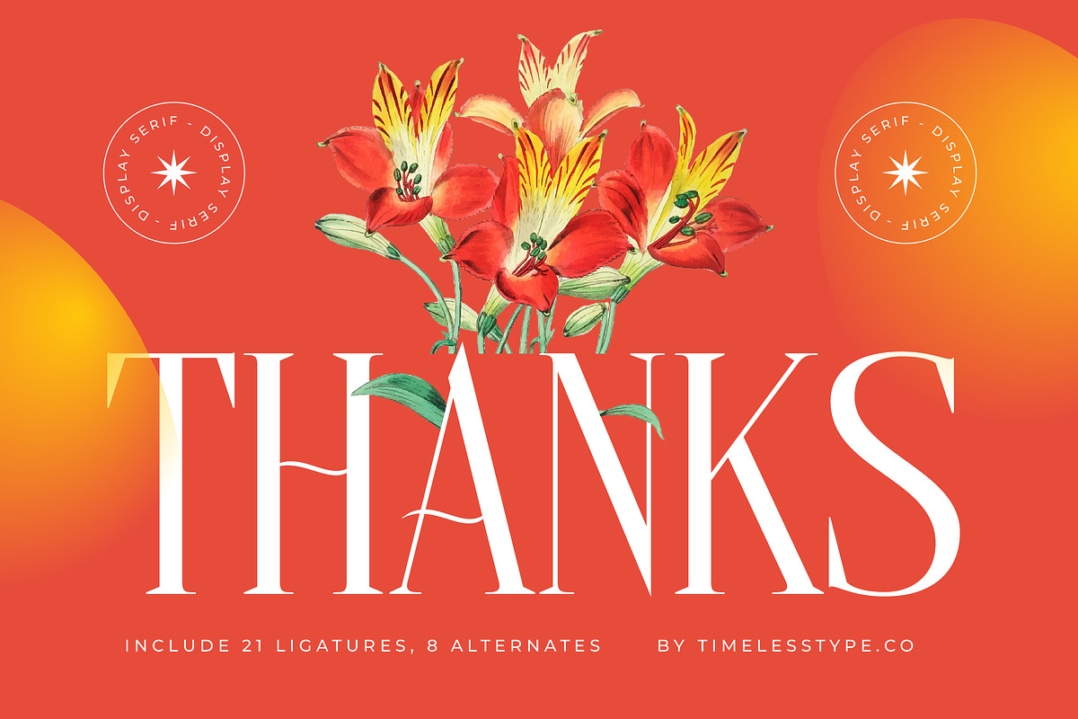 Belhinco Luxury Display Serif Font, a Serif Font by timelesstype.co (Photo 20 of 20)