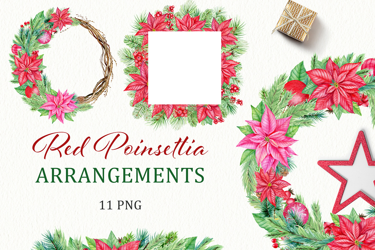 Christmas Red Poinsettia PNG, an Illustration by svetodesign (Photo 1 of 5)