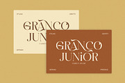 Dirges Elegant Serif Font, a Serif Font by Elegant Font (Thumbnail 4 of 8)