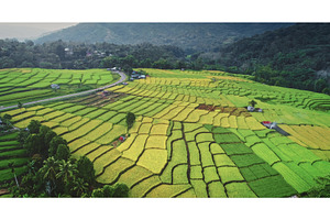 Stunning rice terraces creating, a Nature Photo by Goinyk