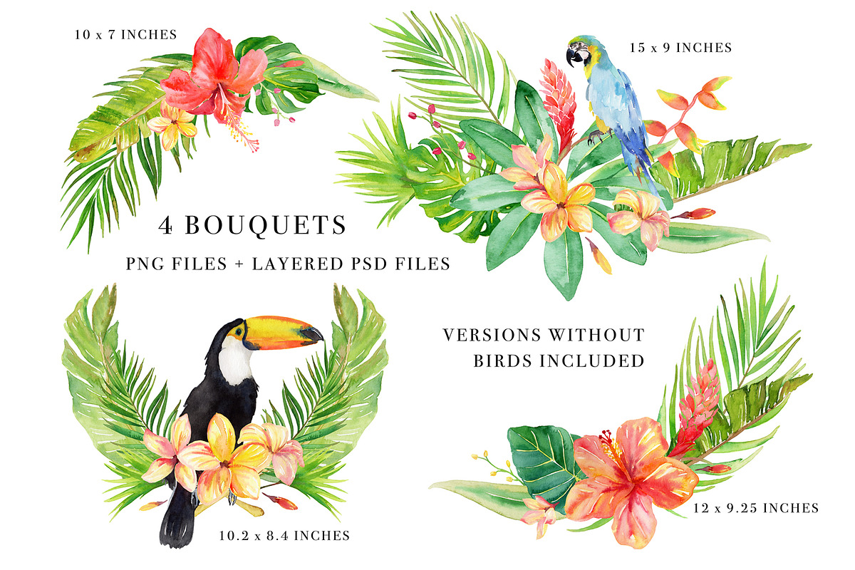 Sale- Tropical Botanicals Set, an Illustration by Art by Lin (Photo 3 of 7)