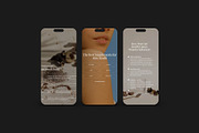Supplements and Vitamins Templates, a Social Media Template by Terraa Studio Design (Thumbnail 5 of 8)