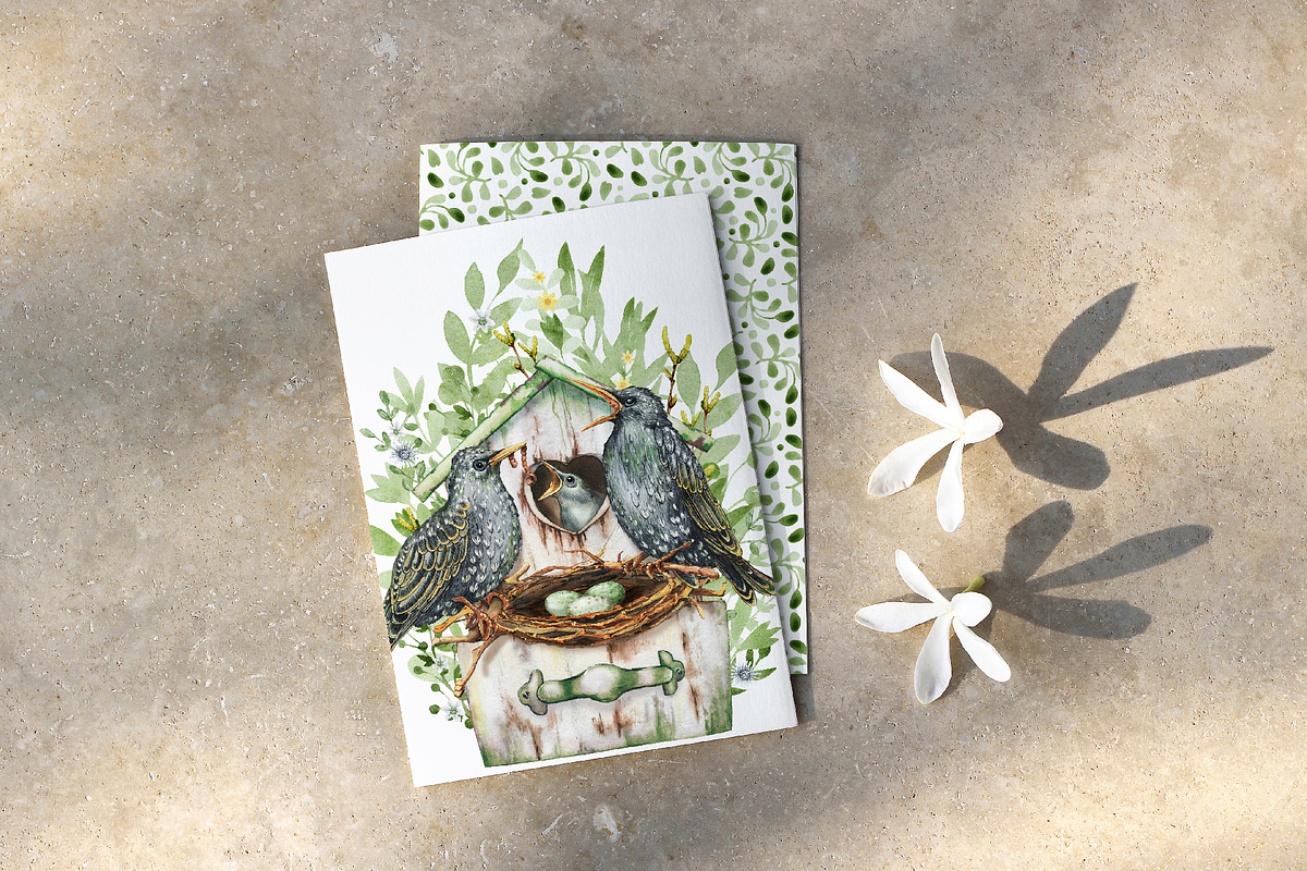 Starling family, spring bird, plants, an Animal Illustration by Artmanata (Photo 12 of 16)