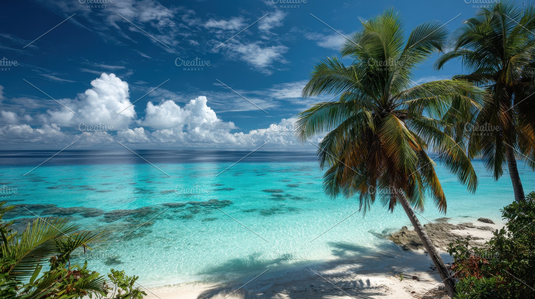 Beautiful tropical beach with palm, a Photo by Pavel_design
