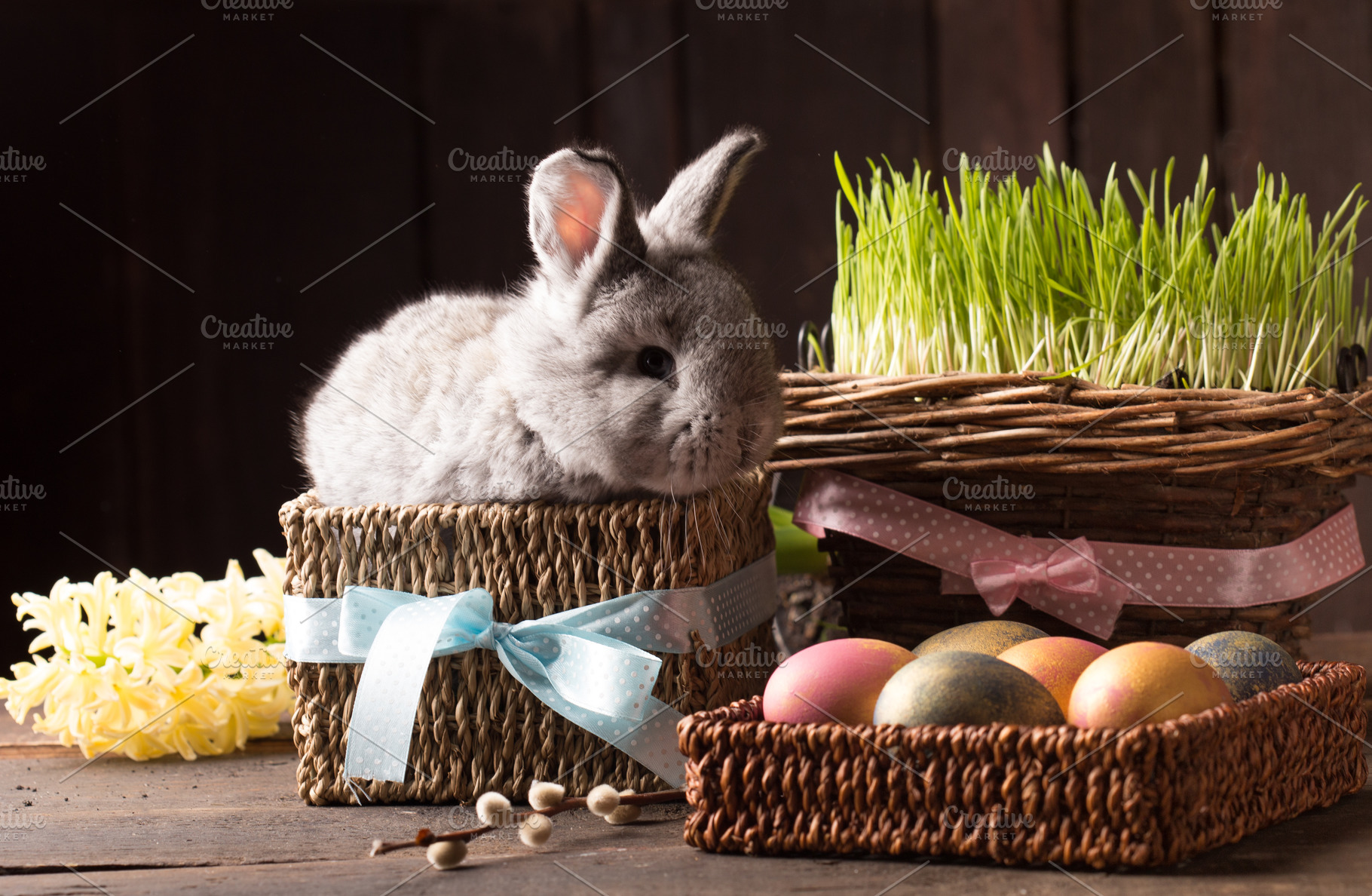 Cute easter bunny with colored eggs containing easter, bunny, and rabbit, a Holiday Photo by peterzsuzsa