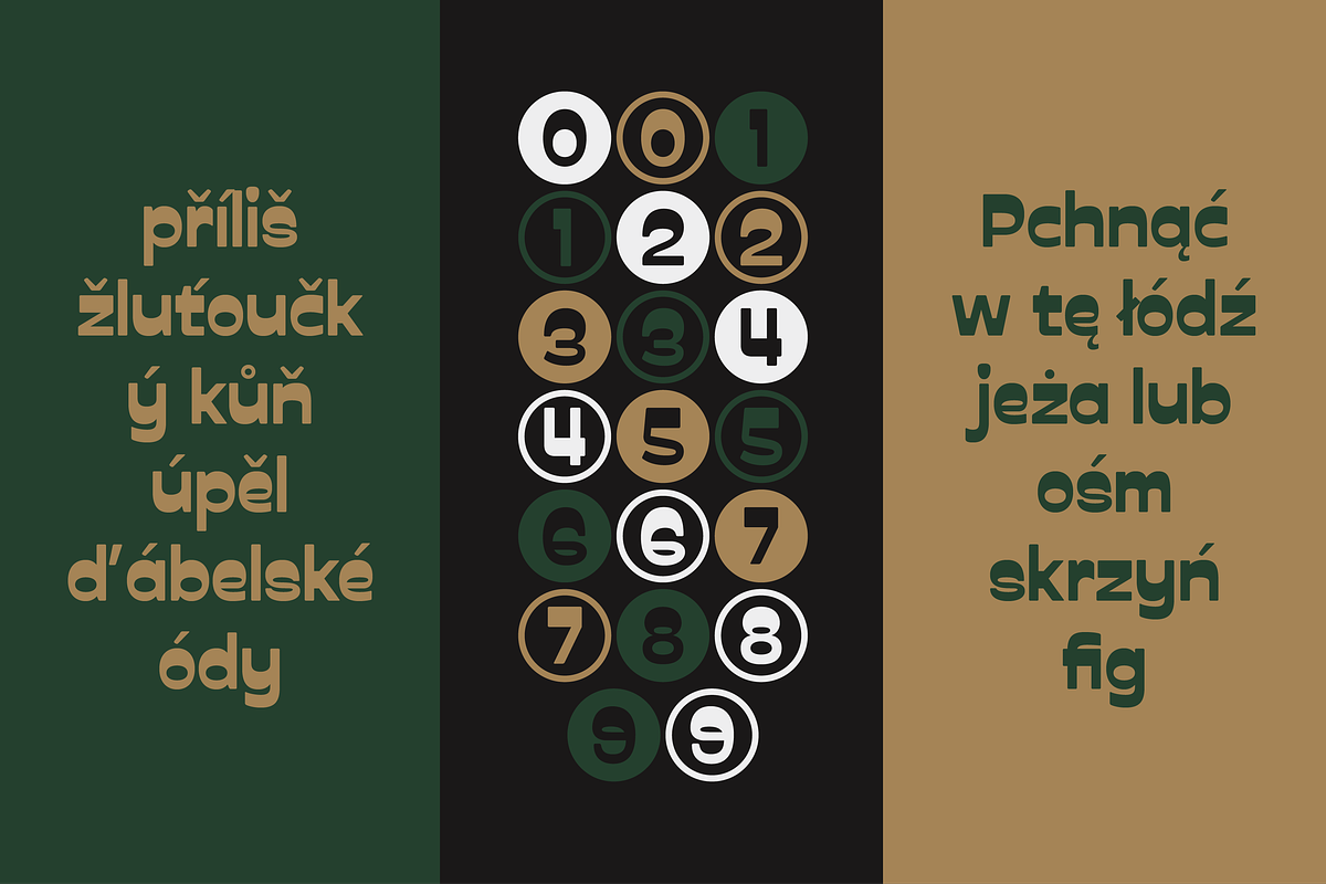 PRAK Trotoer - Vintage Display Font, a Sans Serif Font by Healltica.std (Photo 7 of 27)