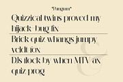 Michiya, a Serif Font by MJtypefoundry (Thumbnail 7 of 11)
