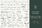 Calligraphic set of vintage flourish, an Object Illustration by FleurArt (Thumbnail 2 of 12)