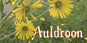 Auldroon Normal, a Blackletter Font by Ingrimayne Type (Thumbnail 2 of 4)