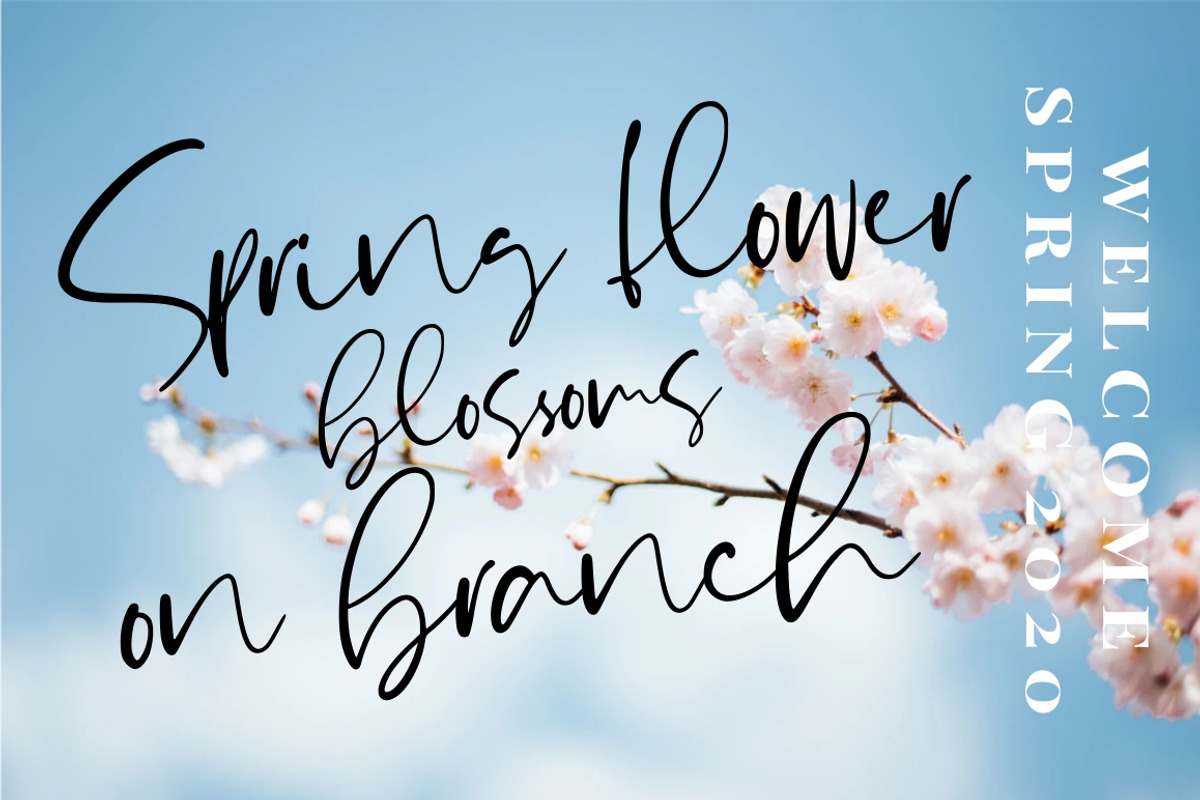 Yullietta - Modern Signature Font, a Script Font by Good Java Studio (Photo 10 of 11)
