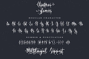 Christmas glamour, a Script Font by Letterara (Thumbnail 7 of 9)