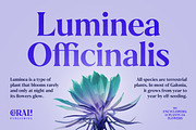 Galonia Type, a Serif Font by Dopestype (Thumbnail 2 of 13)