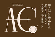 Lagona Display Typeface Serif Font, a Serif Font by timelesstype.co (Thumbnail 7 of 20)