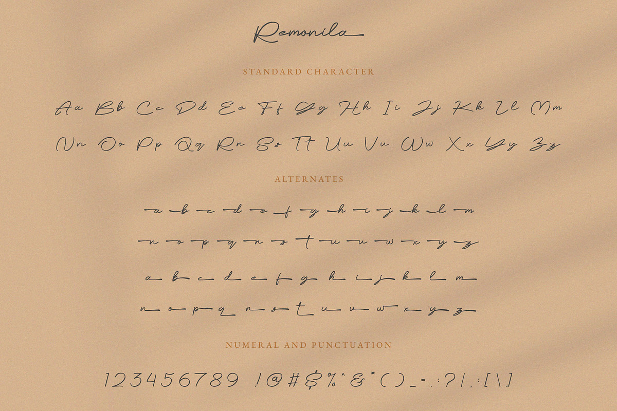 Remonila Elegant Handwritten Script, a Handwritten Font by BrandSemut (Photo 12 of 12)