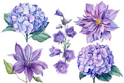 Delicate flowers, a Decorative Illustration by Hanna Hryharenka (Thumbnail 3 of 13)