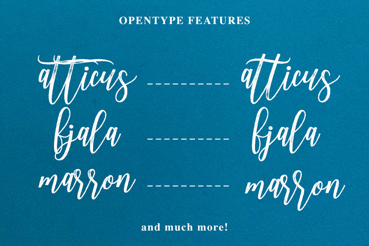 Adasmine Clean & Textured Script, a Script Font by Studio design (Photo 22 of 22)