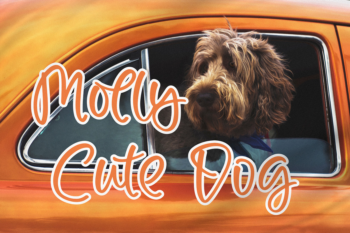 Rokeriot, a Handwritten Font by Integritype Studio (Photo 2 of 15)