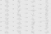 Procreate flower stamp, anemones, a Brush Add-On by AnnaPolitmerskaja (Thumbnail 6 of 6)