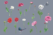 Poppies@Bird Watercolor Clipart, a Decorative Illustration by IrStepShop (Thumbnail 5 of 5)