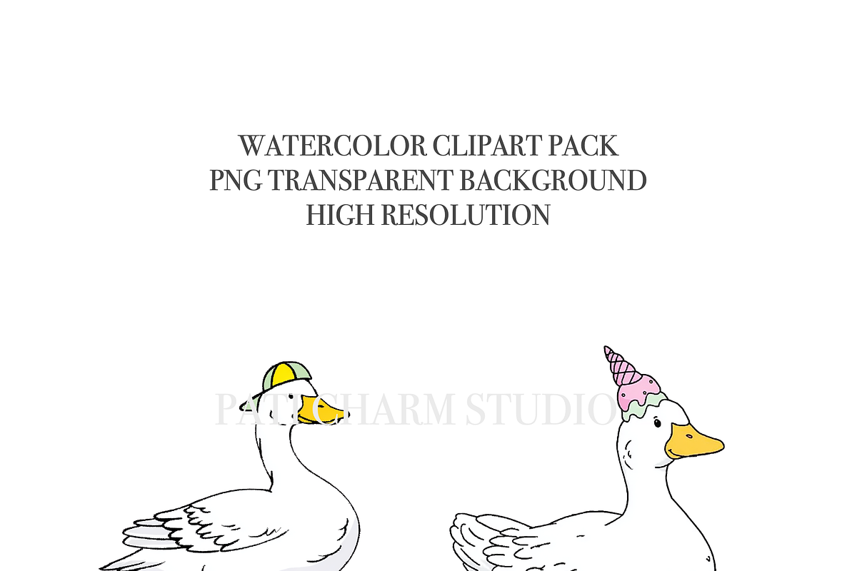 21 Silly Goose Clipart PNG, an Animal Illustration by Pati Charm Studio (Photo 4 of 8)