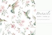 Hummingbirds Pattern, a Decorative Illustration by Pati Charm Studio (Thumbnail 3 of 7)
