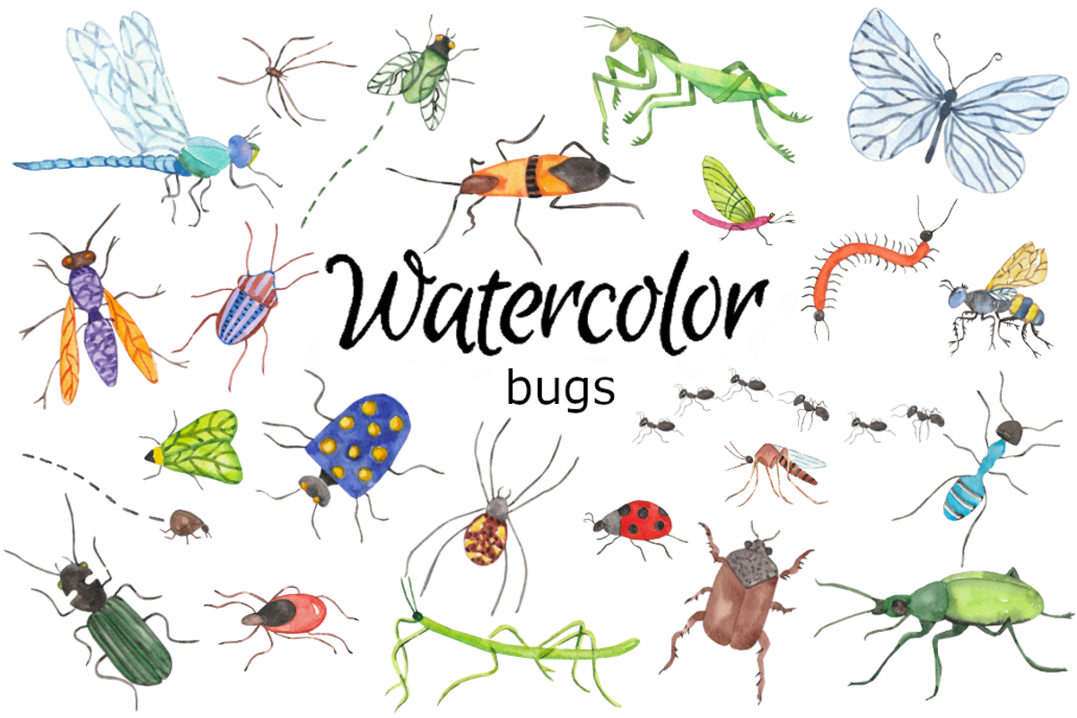 Summer bugs watercolor clip art, a Background Graphic by GoodFairyClipArt (Photo 1 of 2)