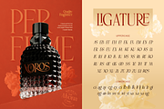 Arome, a Serif Font by Burntilldead (Thumbnail 5 of 12)