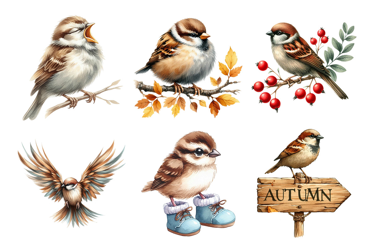 Autumn Sparrows Bird Clipart, an Illustration by Daily.Designs (Photo 4 of 5)