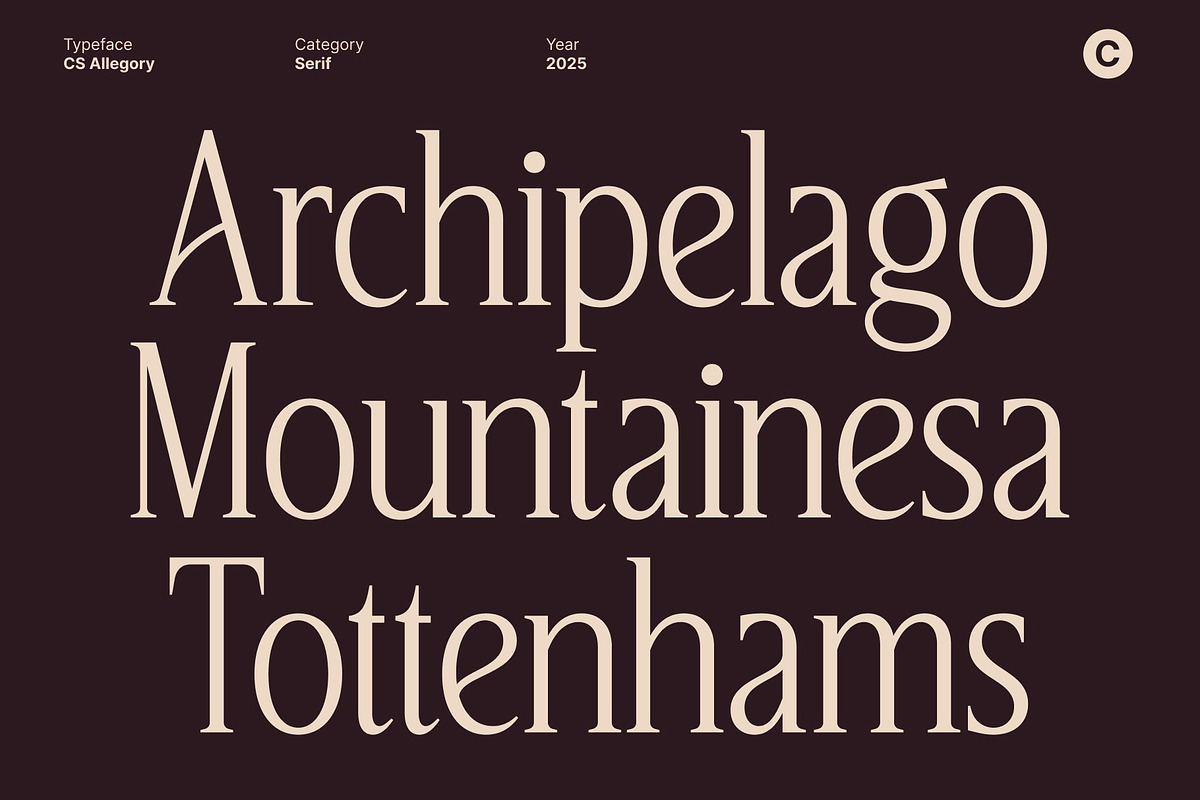 CS Allegory – Elegant Serif Font, a Serif Font by Craft Supply Co. (Photo 7 of 8)