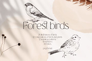 Charming forest - BUNDLE 4 in 1, a Decorative Illustration by Yuliia Lashevska (Thumbnail 2 of 26)